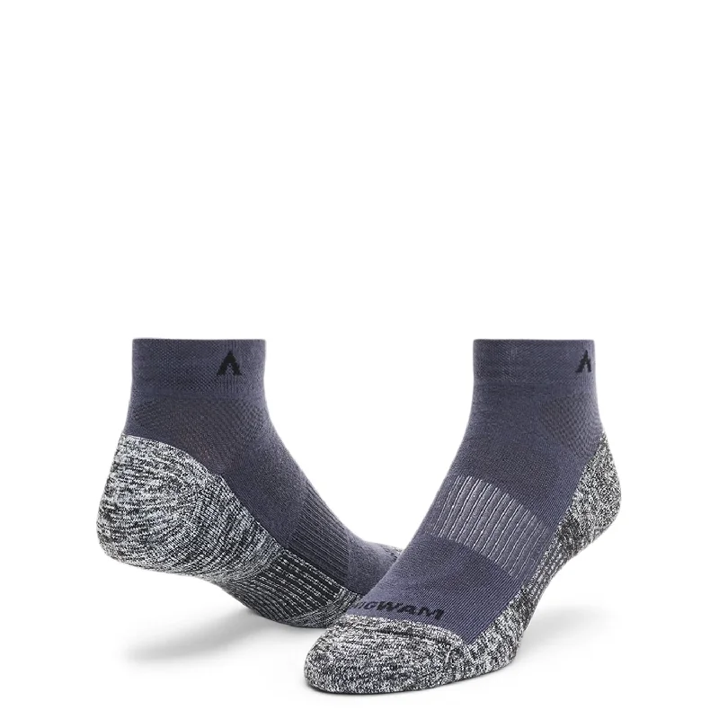 Attain Lightweight Low-Ultimax Sock